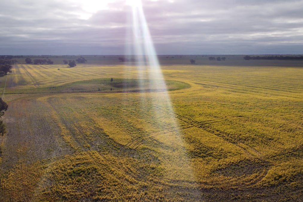 Single Tree Road, Massey, VIC, 3482 - Image 5