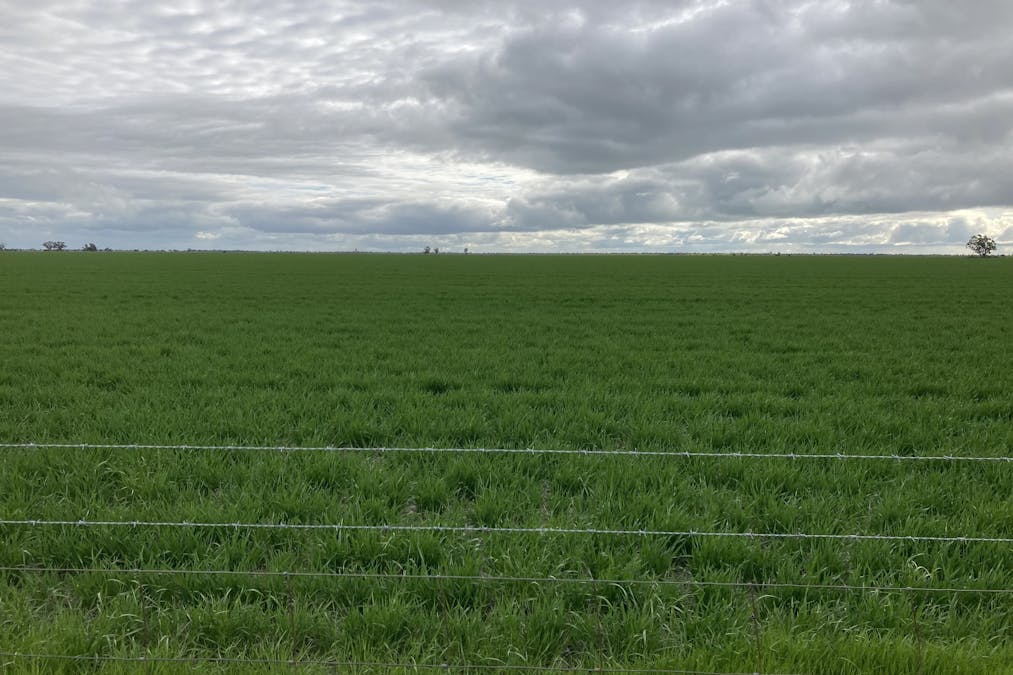 Single Tree Road, Massey, VIC, 3482 - Image 6