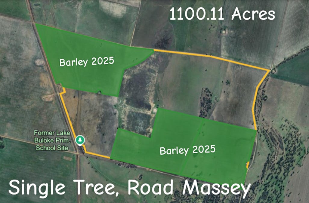 Single Tree Road, Massey, VIC, 3482 - Image 1
