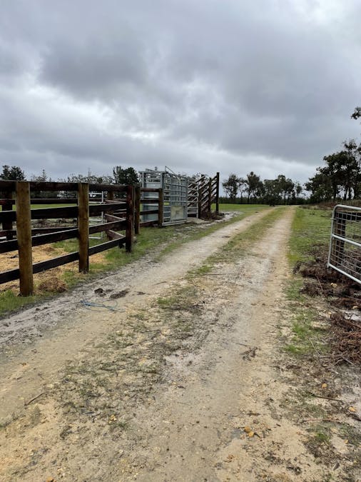 Dartmoor-Digby Road, Dartmoor, VIC, 3304 - Image 3