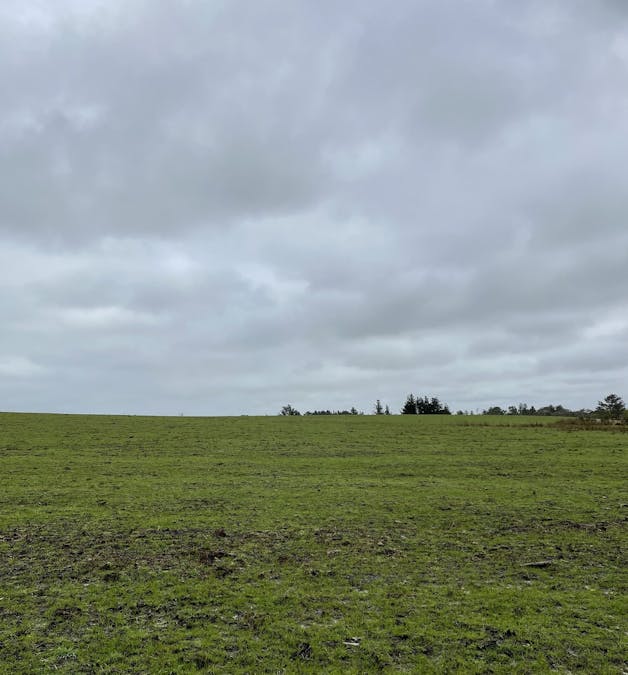 Dartmoor-Digby Road, Dartmoor, VIC, 3304 - Image 4