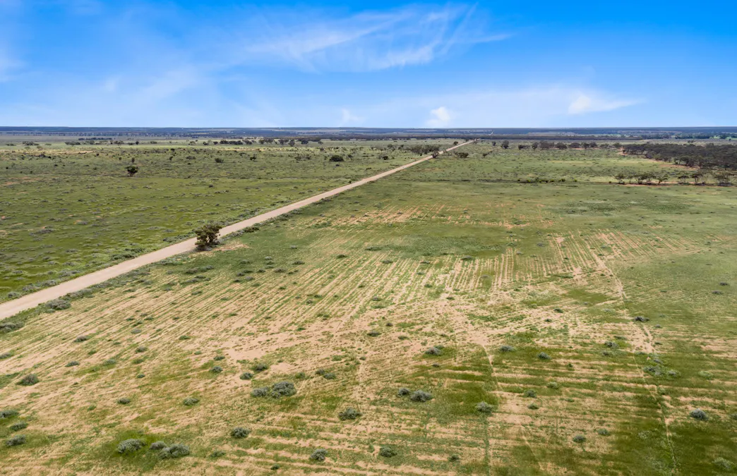 Lot 217 Bower Boundary Road, Steinfeld, SA, 5356 - Image 8