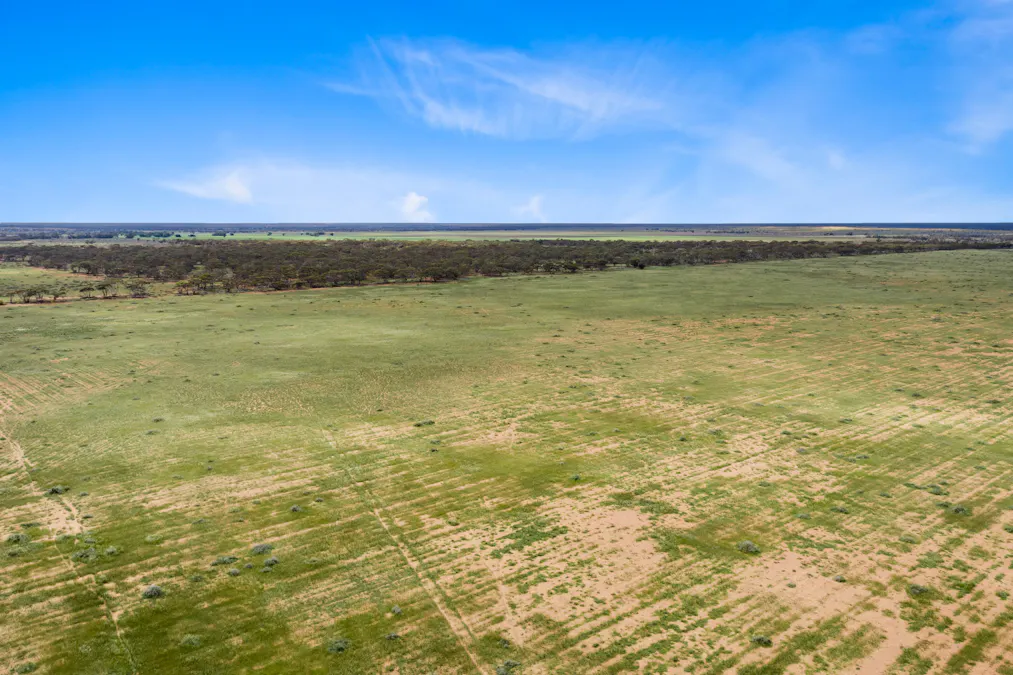 Lot 217 Bower Boundary Road, Steinfeld, SA, 5356 - Image 12