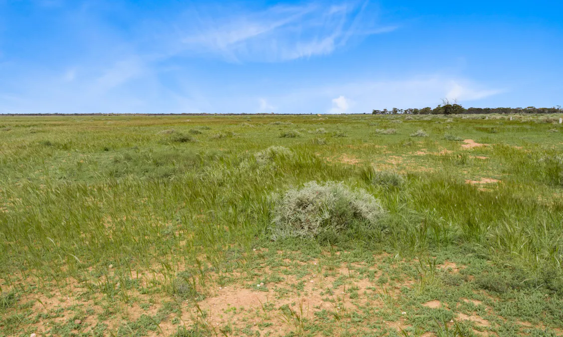 Lot 217 Bower Boundary Road, Steinfeld, SA, 5356 - Image 4