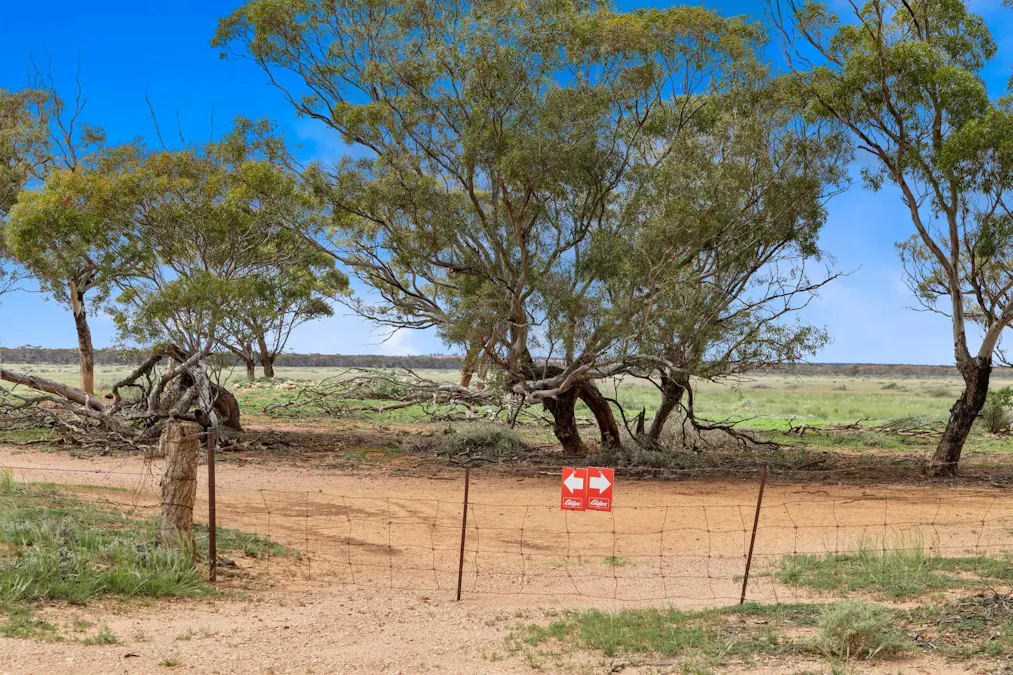 Lot 217 Bower Boundary Road, Steinfeld, SA, 5356 - Image 13