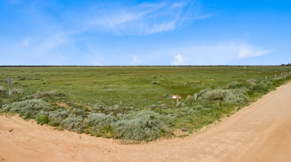 Lot 217 Bower Boundary Road, Steinfeld, SA, 5356 - Image 7