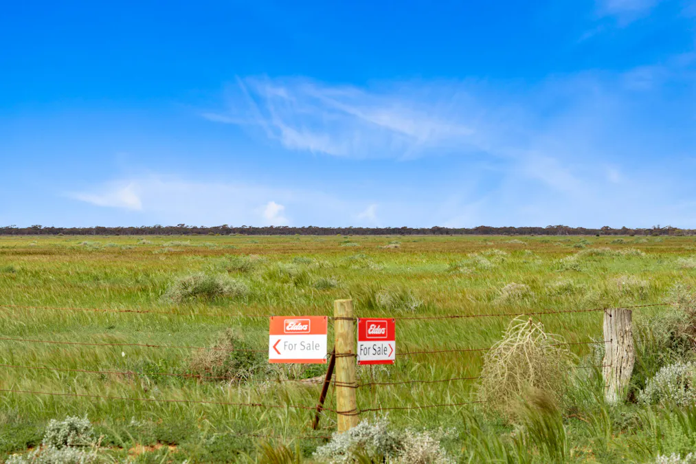 Lot 217 Bower Boundary Road, Steinfeld, SA, 5356 - Image 2