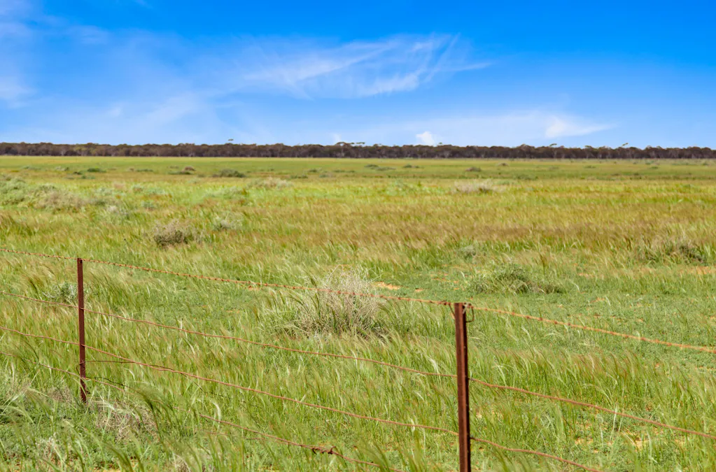 Lot 217 Bower Boundary Road, Steinfeld, SA, 5356 - Image 3