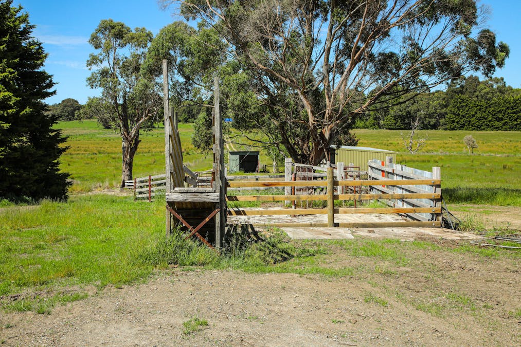10 Walton Road, Drouin West, VIC, 3818 - Image 4