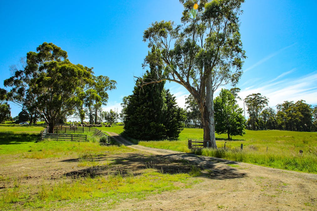 10 Walton Road, Drouin West, VIC, 3818 - Image 8