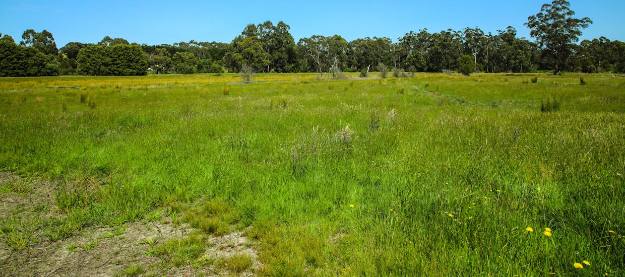 10 Walton Road, Drouin West, VIC, 3818 - Image 9