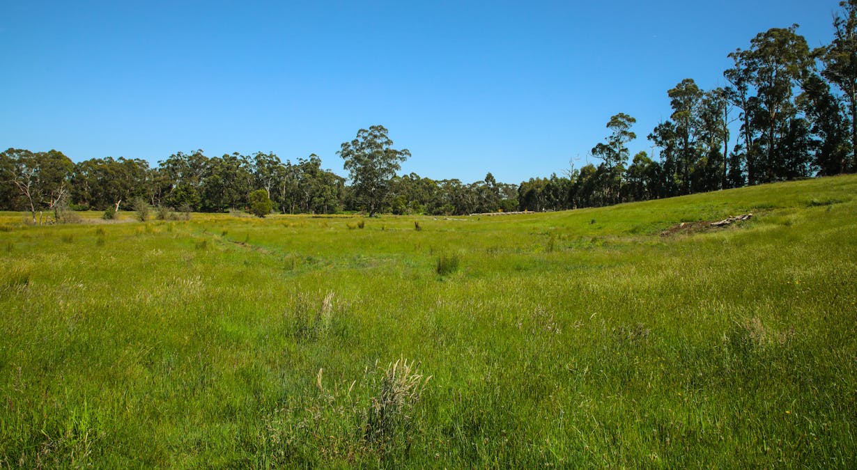 10 Walton Road, Drouin West, VIC, 3818 - Image 10