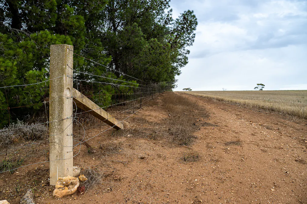 13 Kellys Hill Road, Kainton, SA, 5552 - Image 5