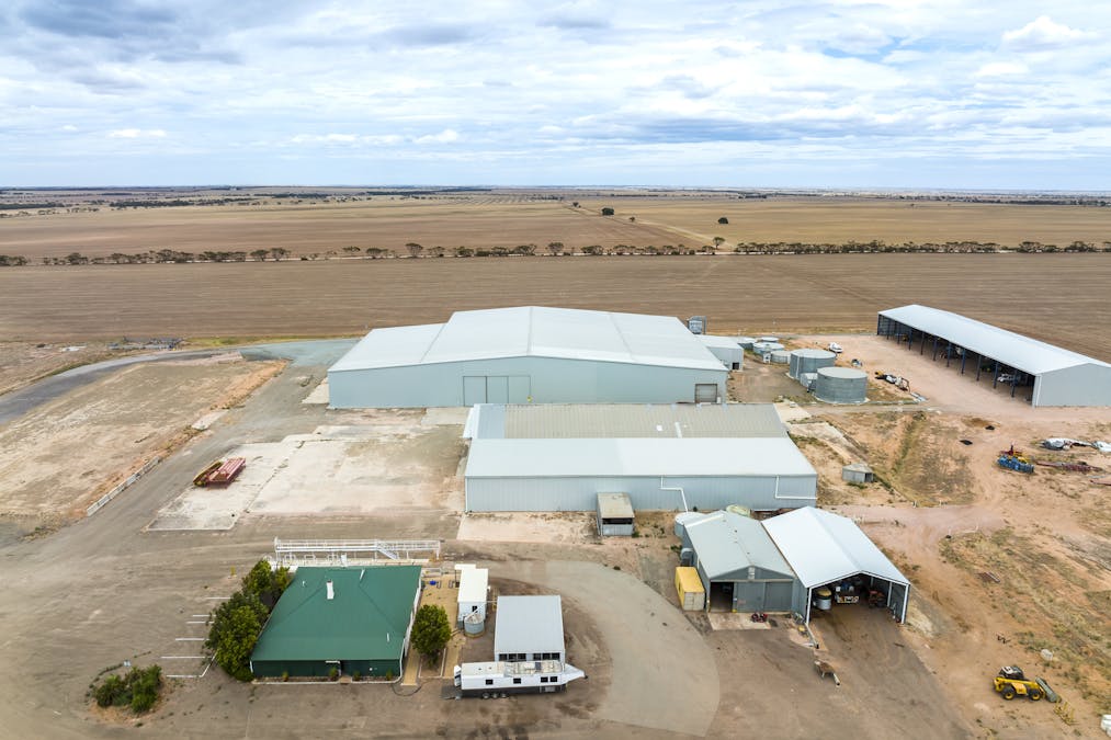 Thomas Plain, SA, 5554 - Image 2