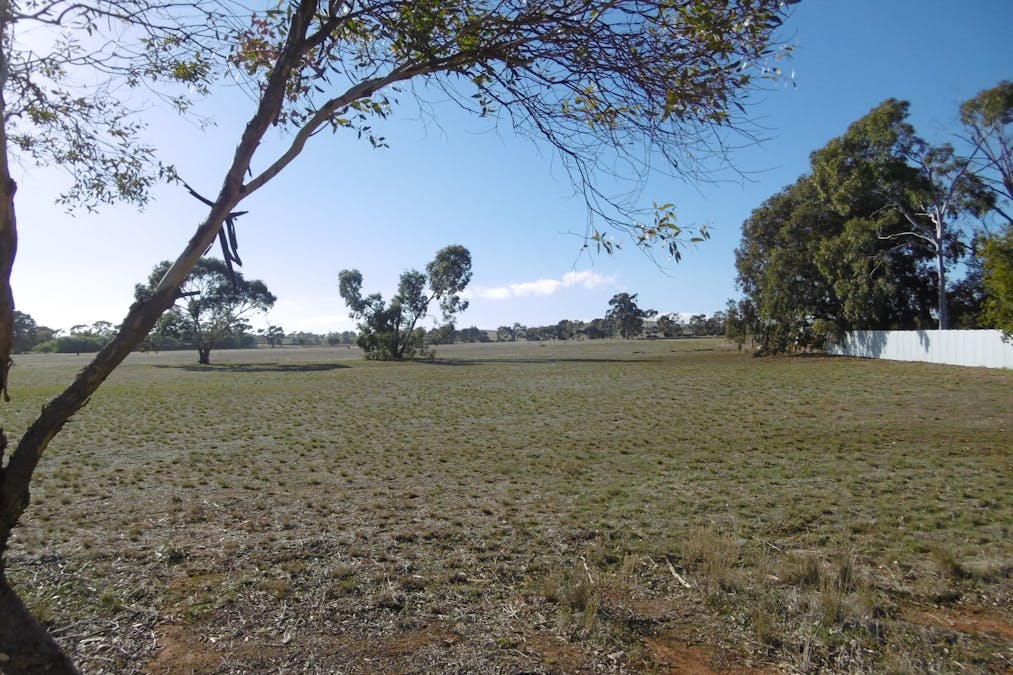 17 Cronin Street, Jamestown, SA, 5491 - Image 2