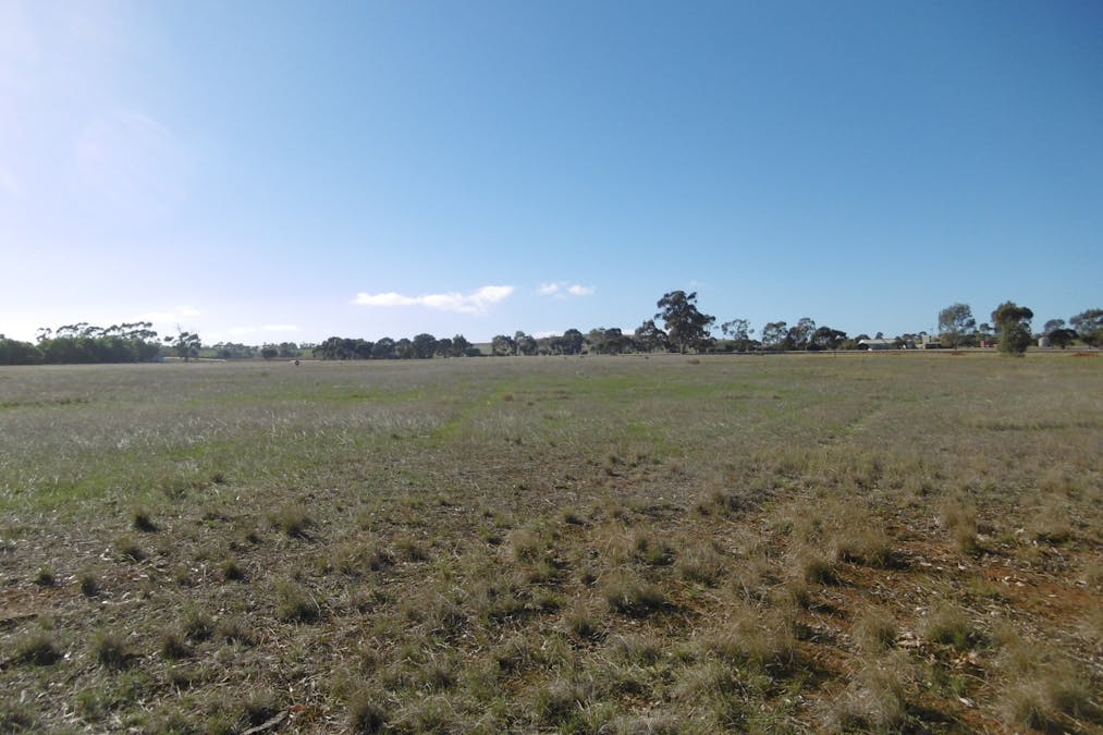 17 Cronin Street, Jamestown, SA, 5491 - Image 8