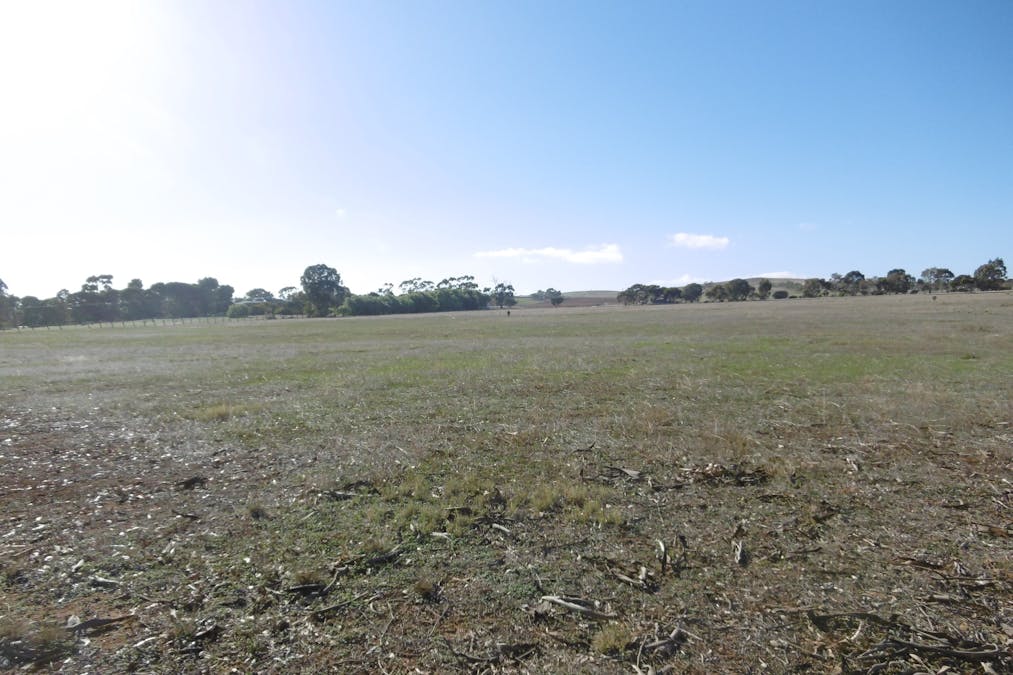 17 Cronin Street, Jamestown, SA, 5491 - Image 9