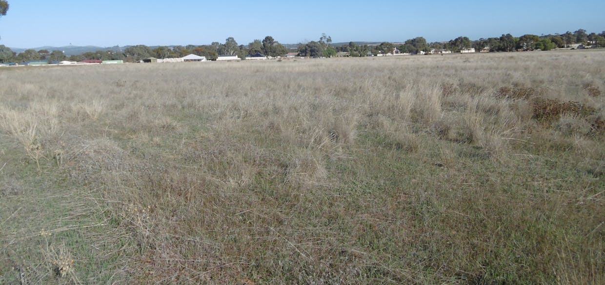 17 Cronin Street, Jamestown, SA, 5491 - Image 10
