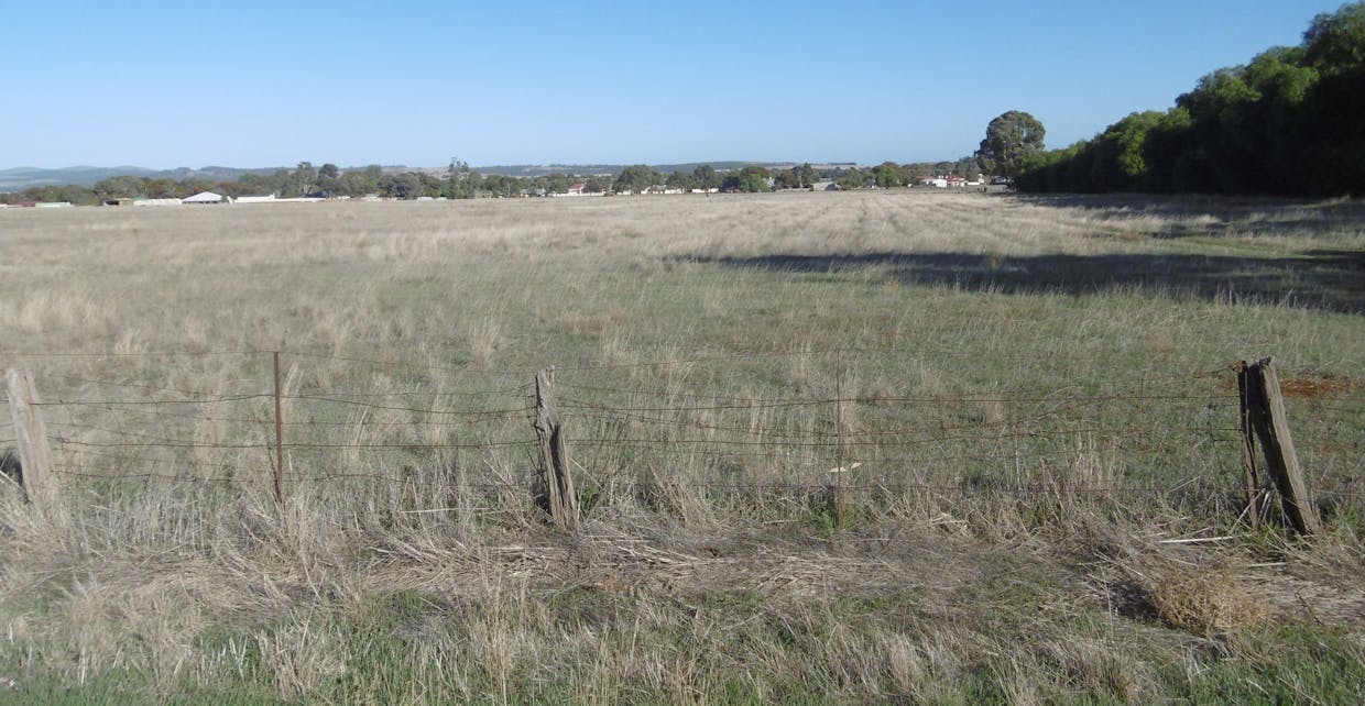 17 Cronin Street, Jamestown, SA, 5491 - Image 11