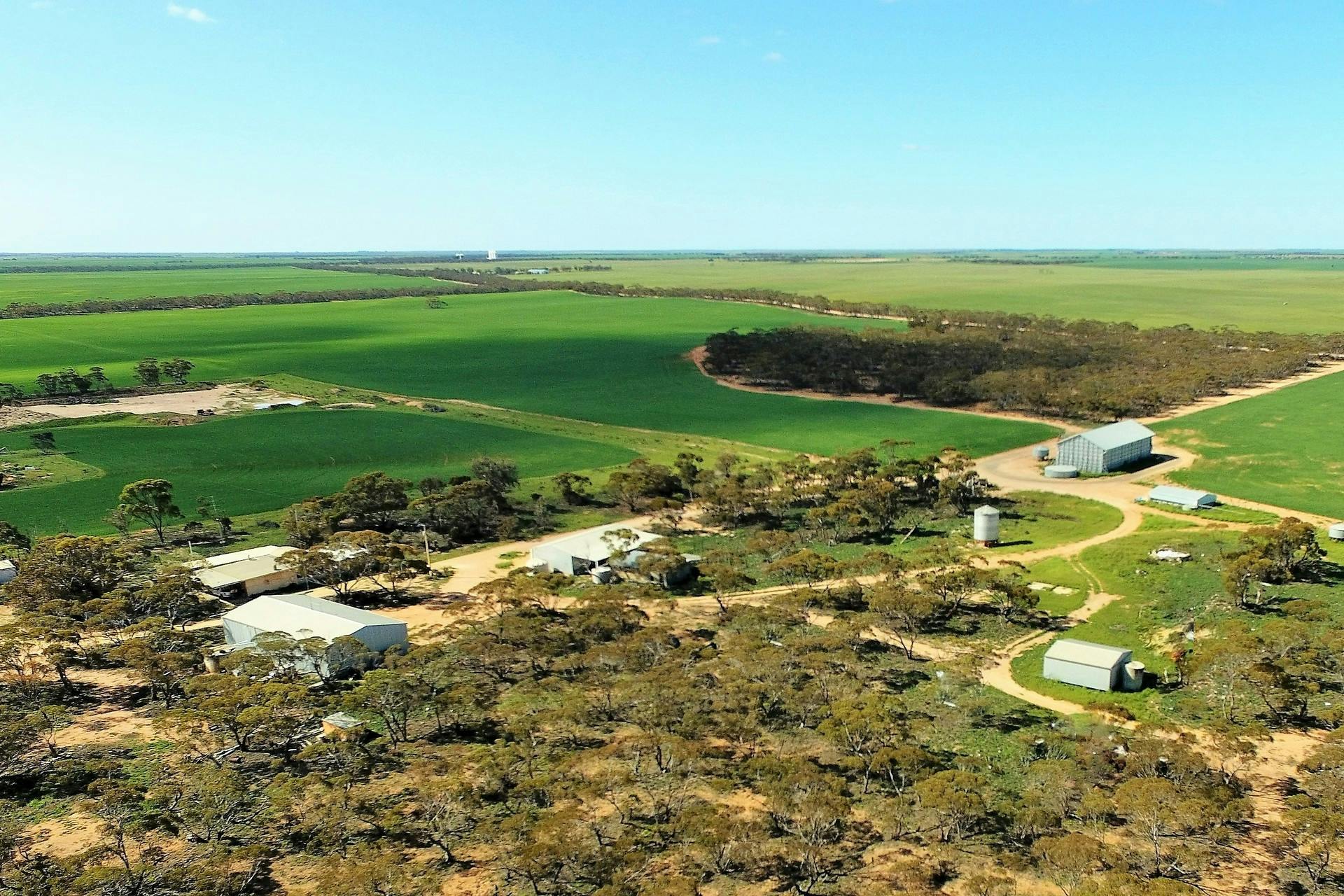 352 Curtis Road, Loxton, SA, 5333 Sold Elders Real Estate