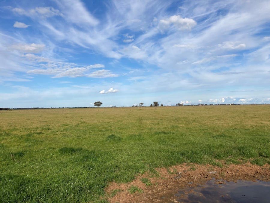 Cnr Murray Valley Highway And Baxter Road, Torrumbarry, VIC, 3562 - Image 2