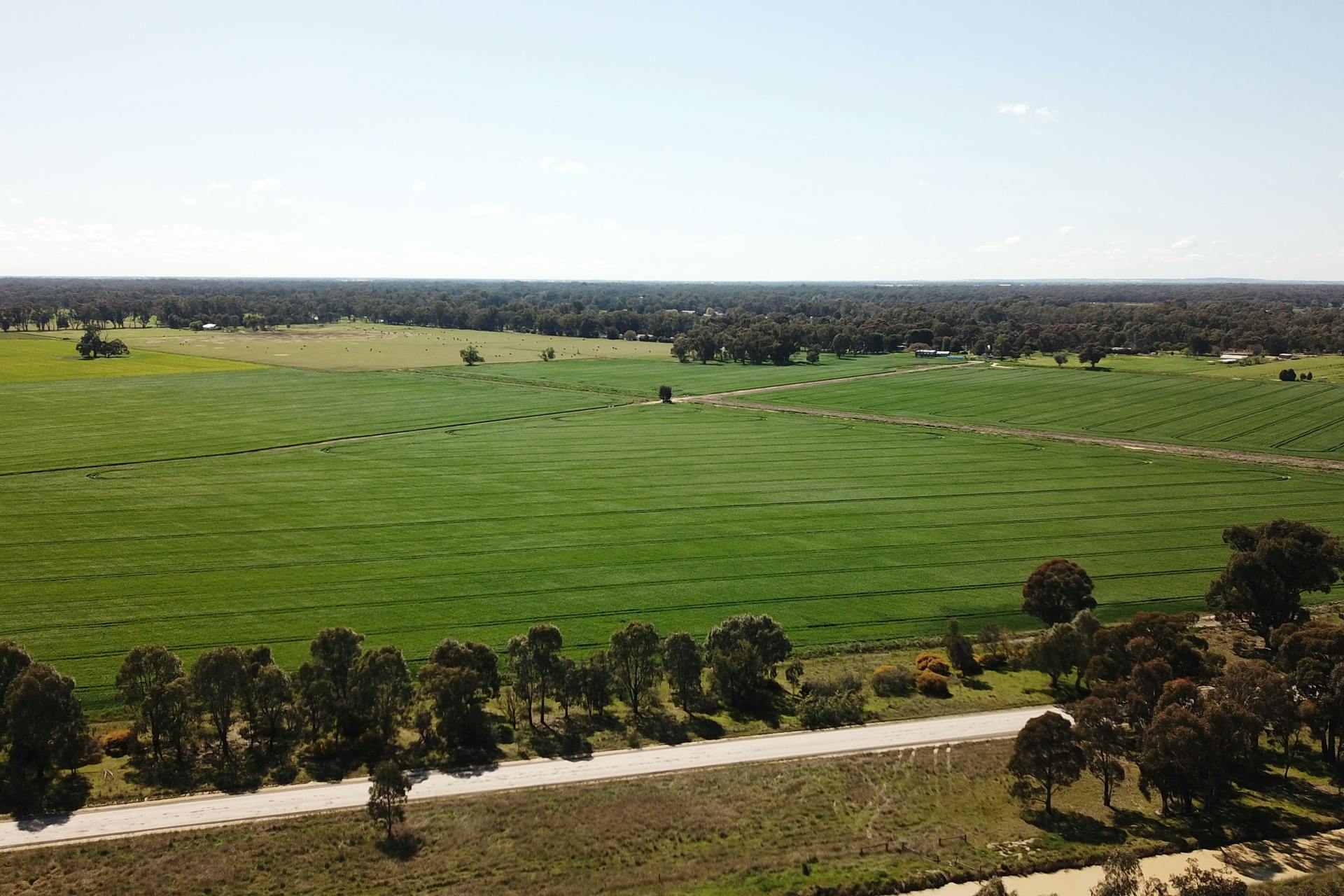 88 MyweeKoonoomoo Road, Koonoomoo, VIC, 3644 Sold Elders Real Estate