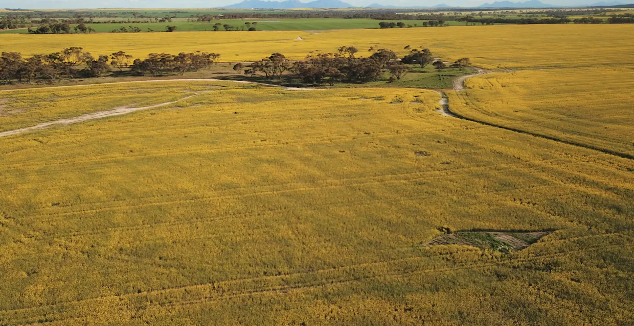 2324/Peerup Road, Mindarabin, WA, 6336 - Image 2