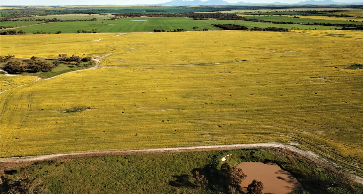 2324/Peerup Road, Mindarabin, WA, 6336 - Image 1