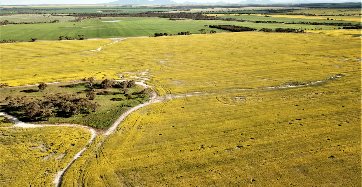 2324/Peerup Road, Mindarabin, WA, 6336 - Image 4