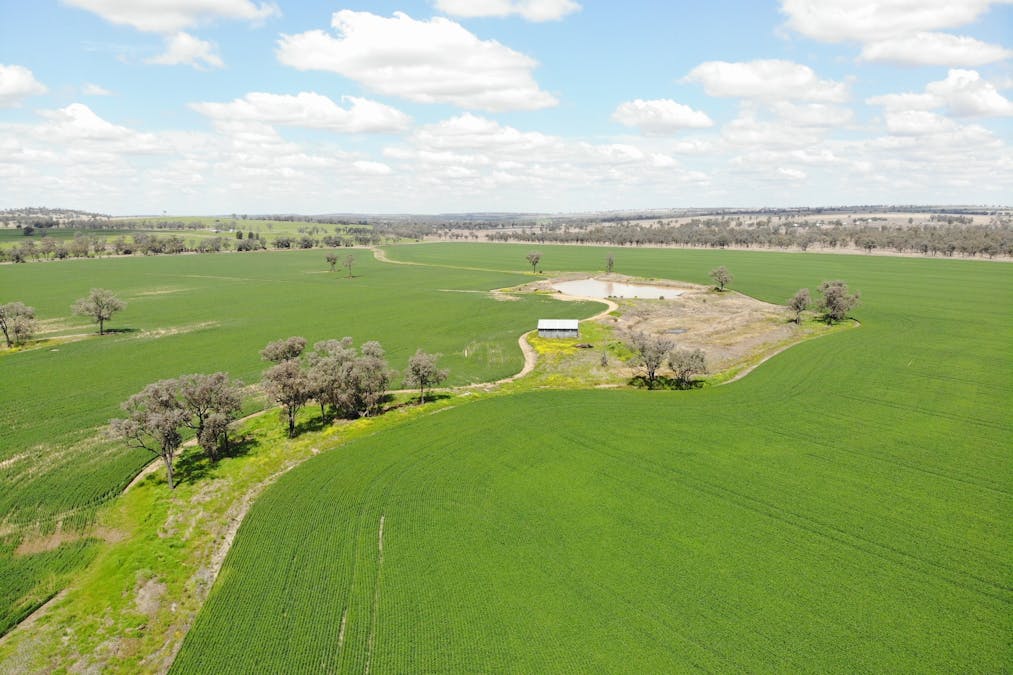 81 Allandale Road, Warialda, NSW, 2402 - Image 3