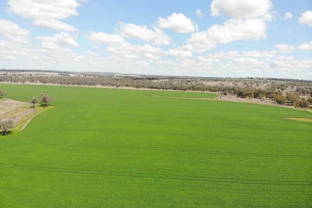 81 Allandale Road, Warialda, NSW, 2402 - Image 4