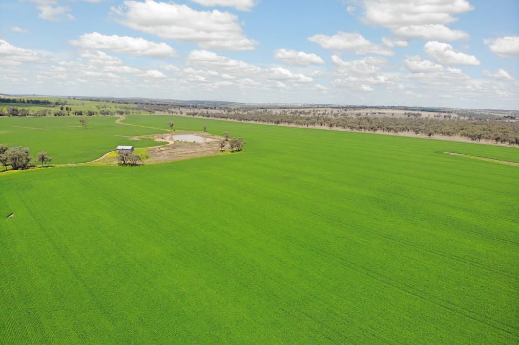 81 Allandale Road, Warialda, NSW, 2402 - Image 2