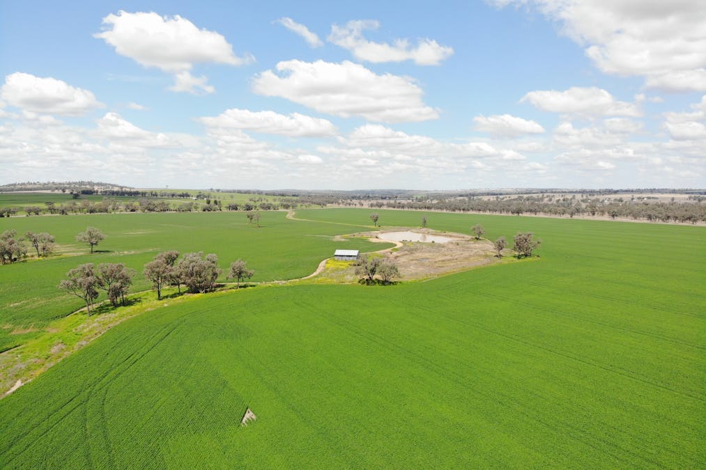 81 Allandale Road, Warialda, NSW, 2402 - Image 6