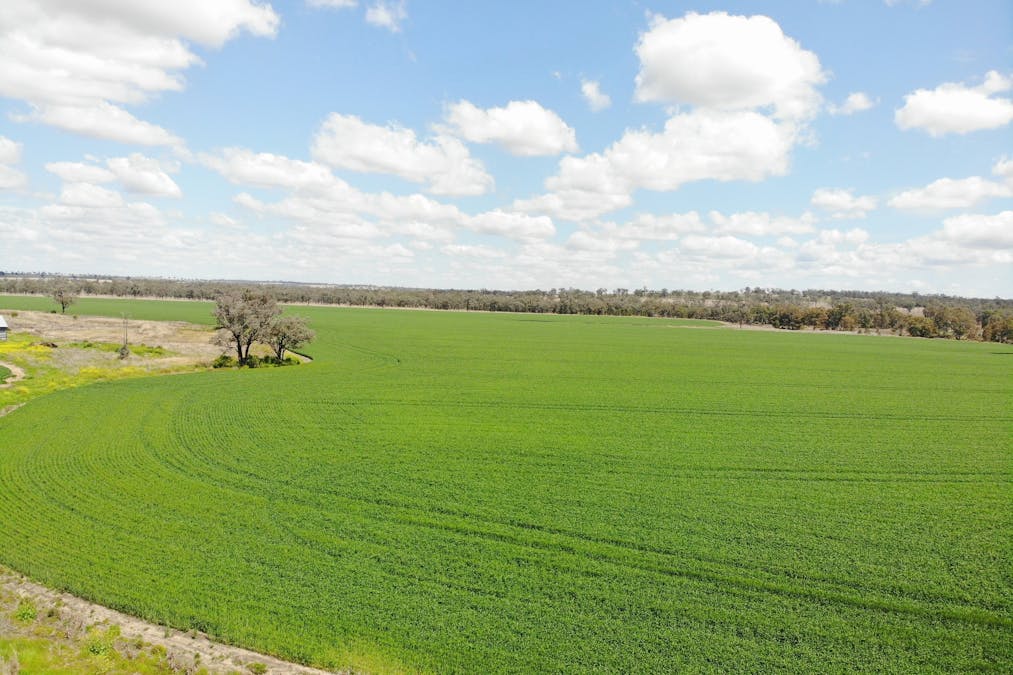 81 Allandale Road, Warialda, NSW, 2402 - Image 7