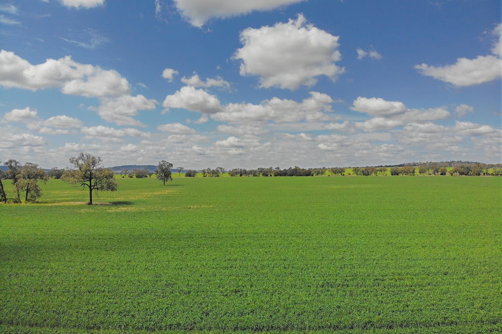 81 Allandale Road, Warialda, NSW, 2402 - Image 9