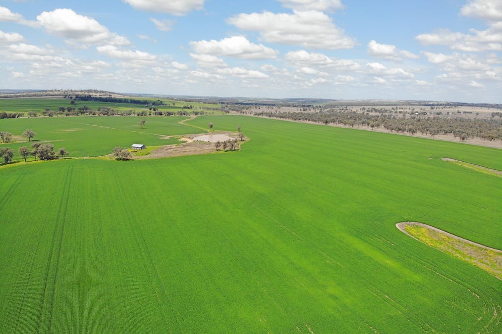 81 Allandale Road, Warialda, NSW, 2402 - Image 12