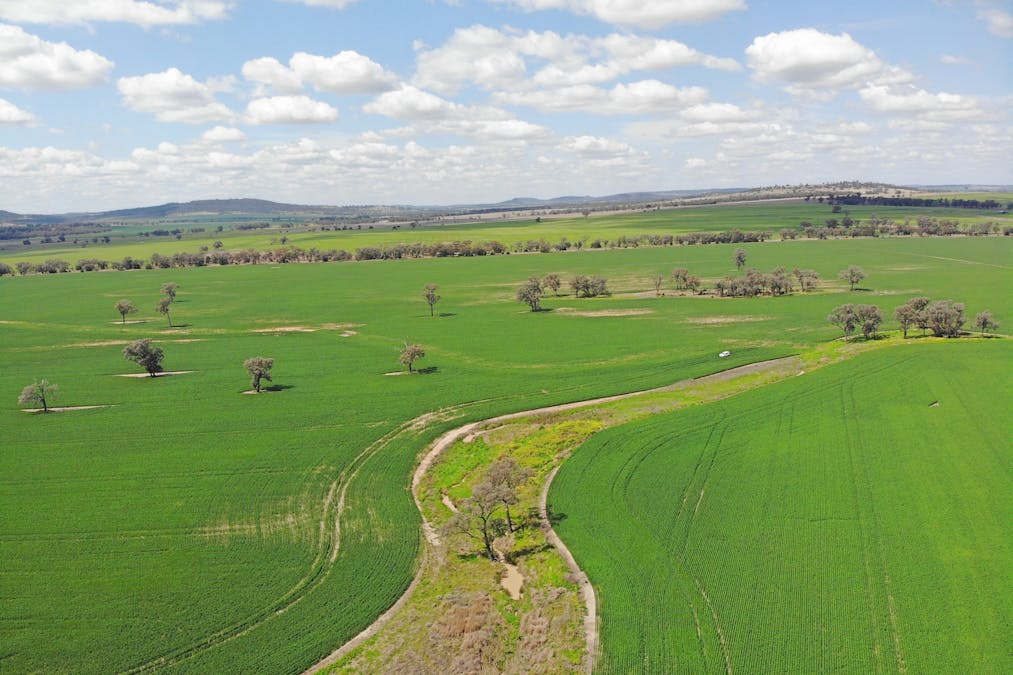 81 Allandale Road, Warialda, NSW, 2402 - Image 13
