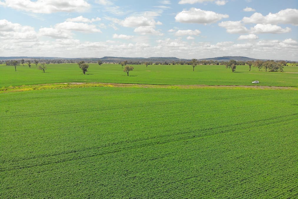 81 Allandale Road, Warialda, NSW, 2402 - Image 14