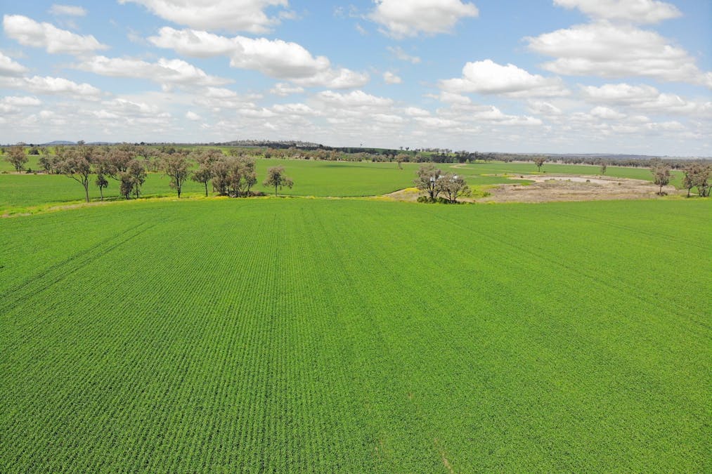 81 Allandale Road, Warialda, NSW, 2402 - Image 15