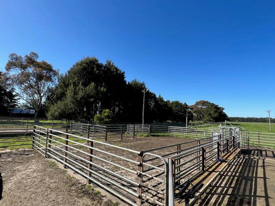 182 Mackinnons Bridge Road, Noorat, VIC, 3265 - Image 30