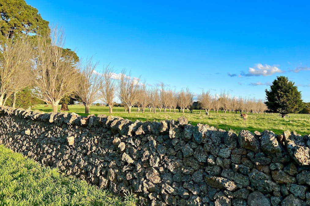 182 Mackinnons Bridge Road, Noorat, VIC, 3265 - Image 31