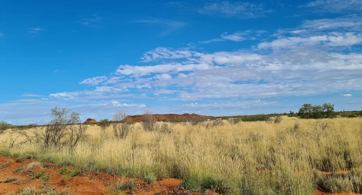 North West Coastal Highway, Nanutarra, WA, 6751 - Image 3