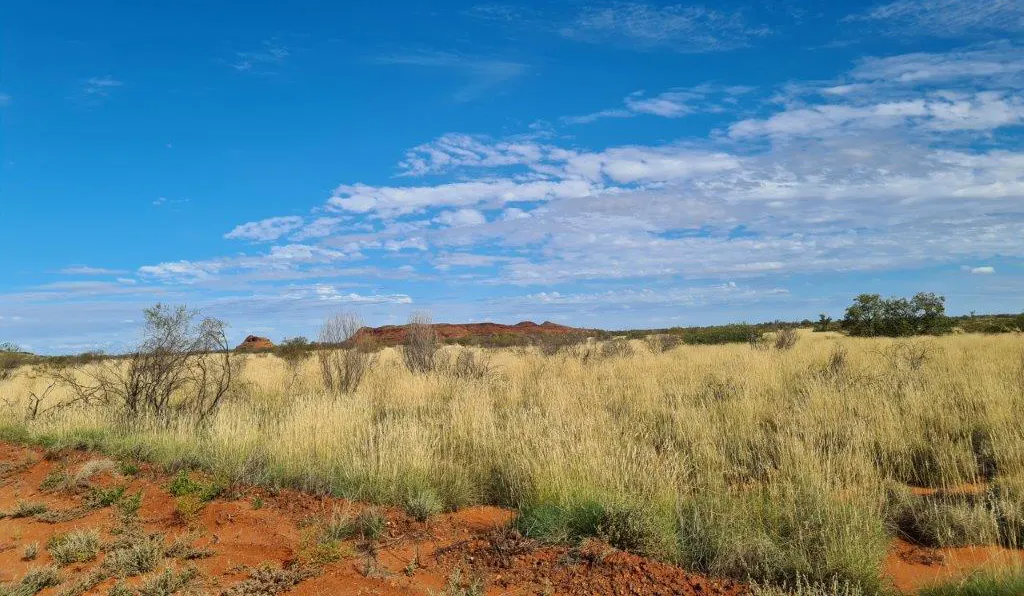 North West Coastal Highway, Nanutarra, WA, 6751 - Image 6