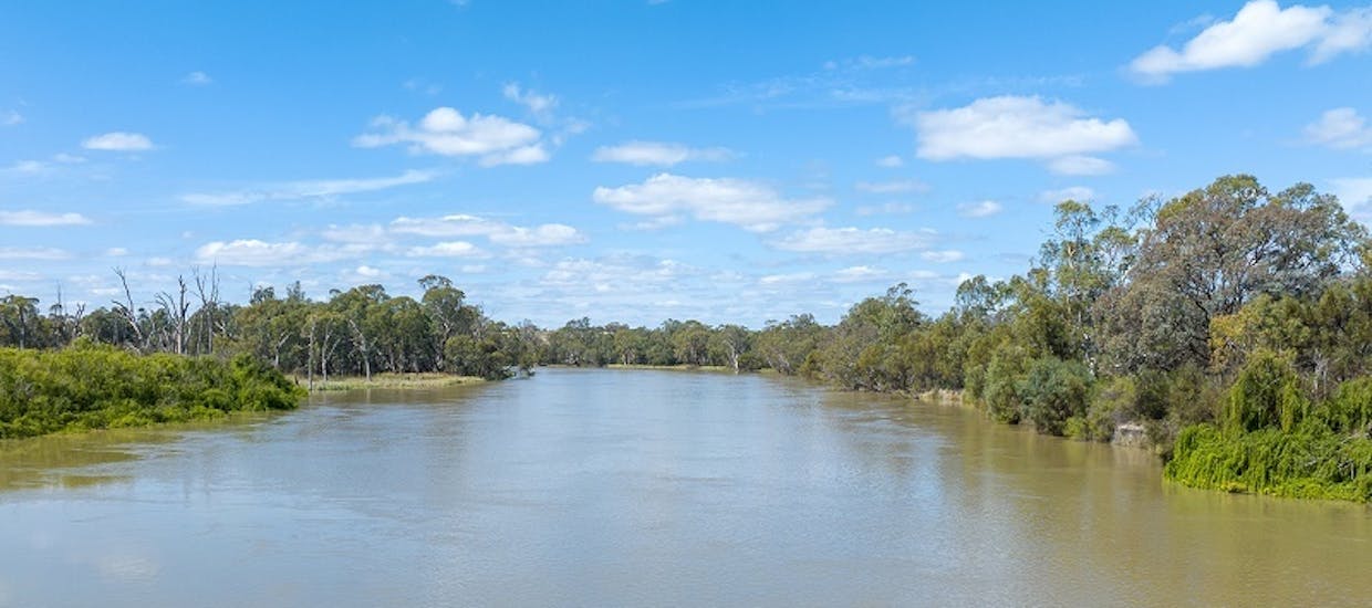 55 Boy Scout Road, Mcbean Pound, SA, 5357 - Image 1