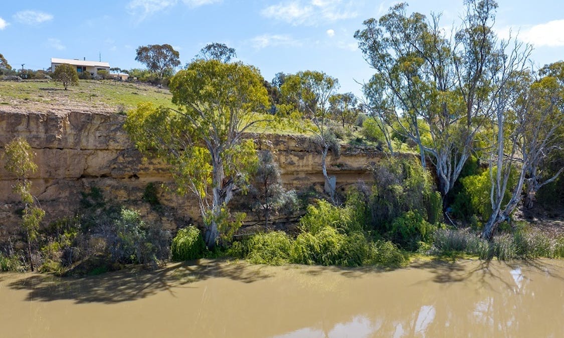 55 Boy Scout Road, Mcbean Pound, SA, 5357 - Image 9