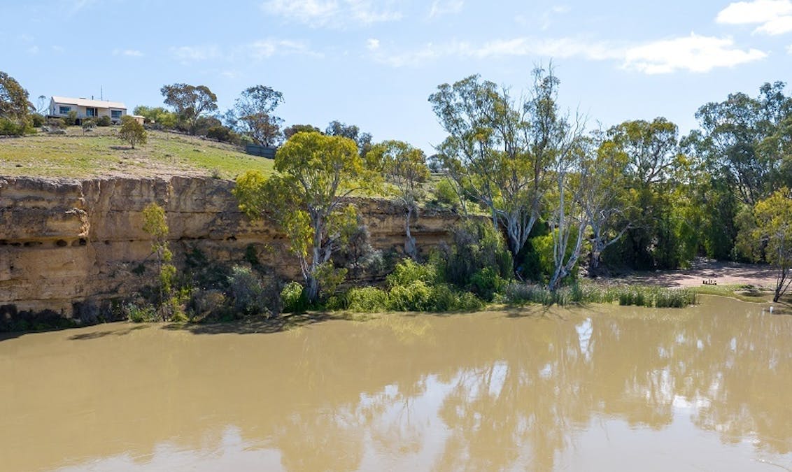 55 Boy Scout Road, Mcbean Pound, SA, 5357 - Image 3