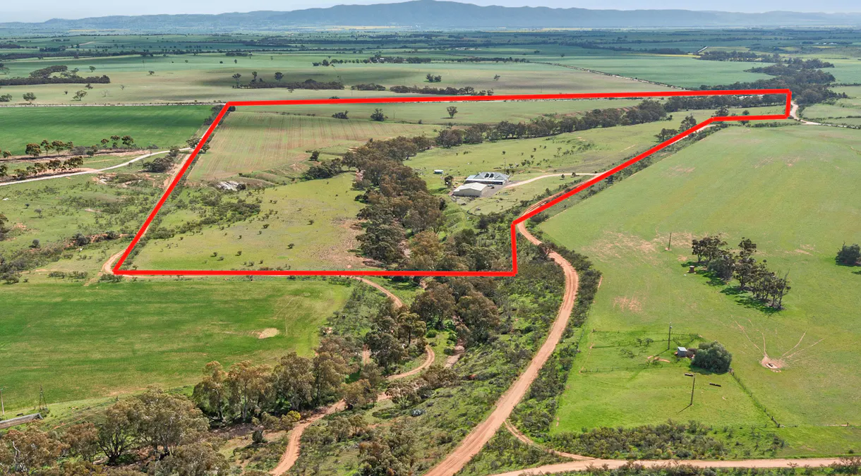 60 Kahl Road, Booleroo Centre, SA, 5482 - Image 28