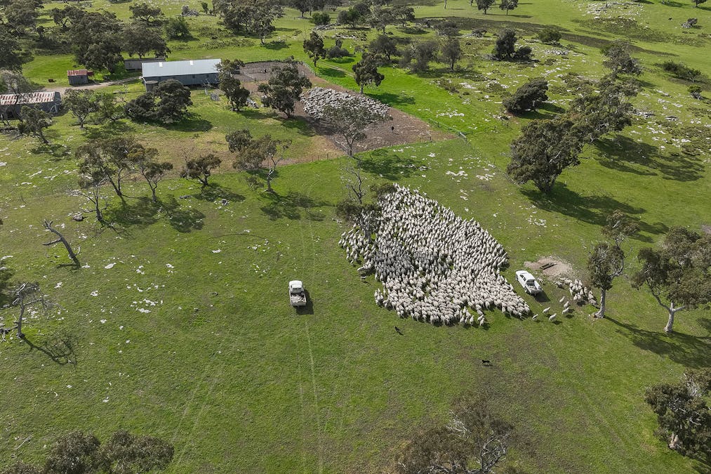 1442 & 1610 Tapfield Road, Kingston Se, SA, 5275 Sold Elders Real