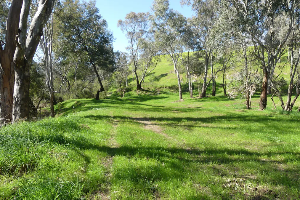 1565 Whanregarwen Road, Molesworth, VIC, 3718 For Sale Elders Real