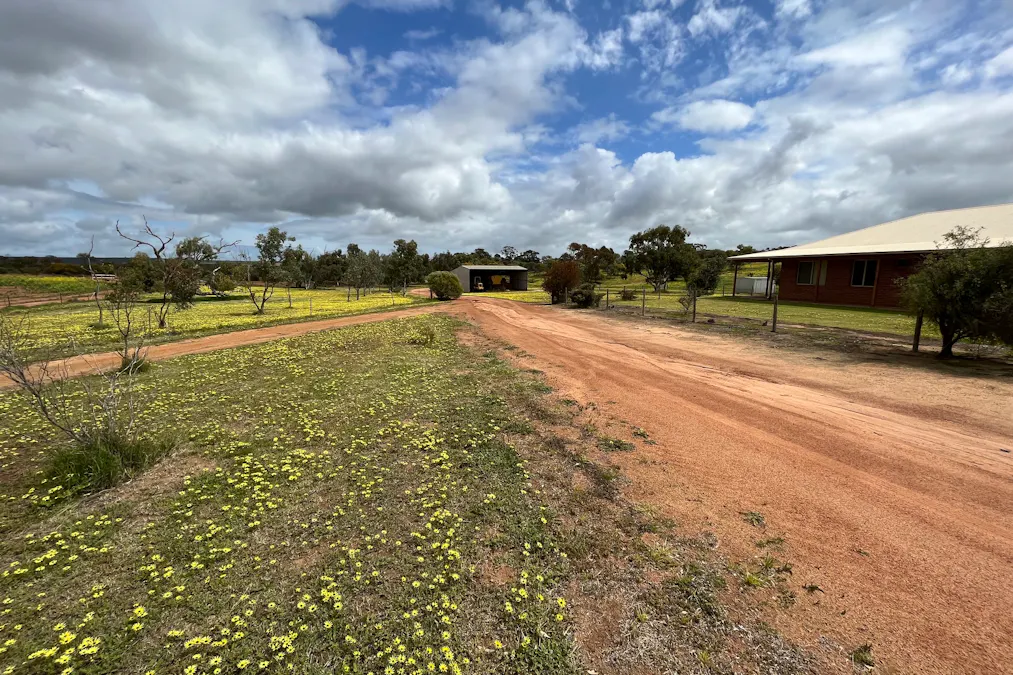 315 Eradu Road, Eradu South, WA, 6532 - Image 8